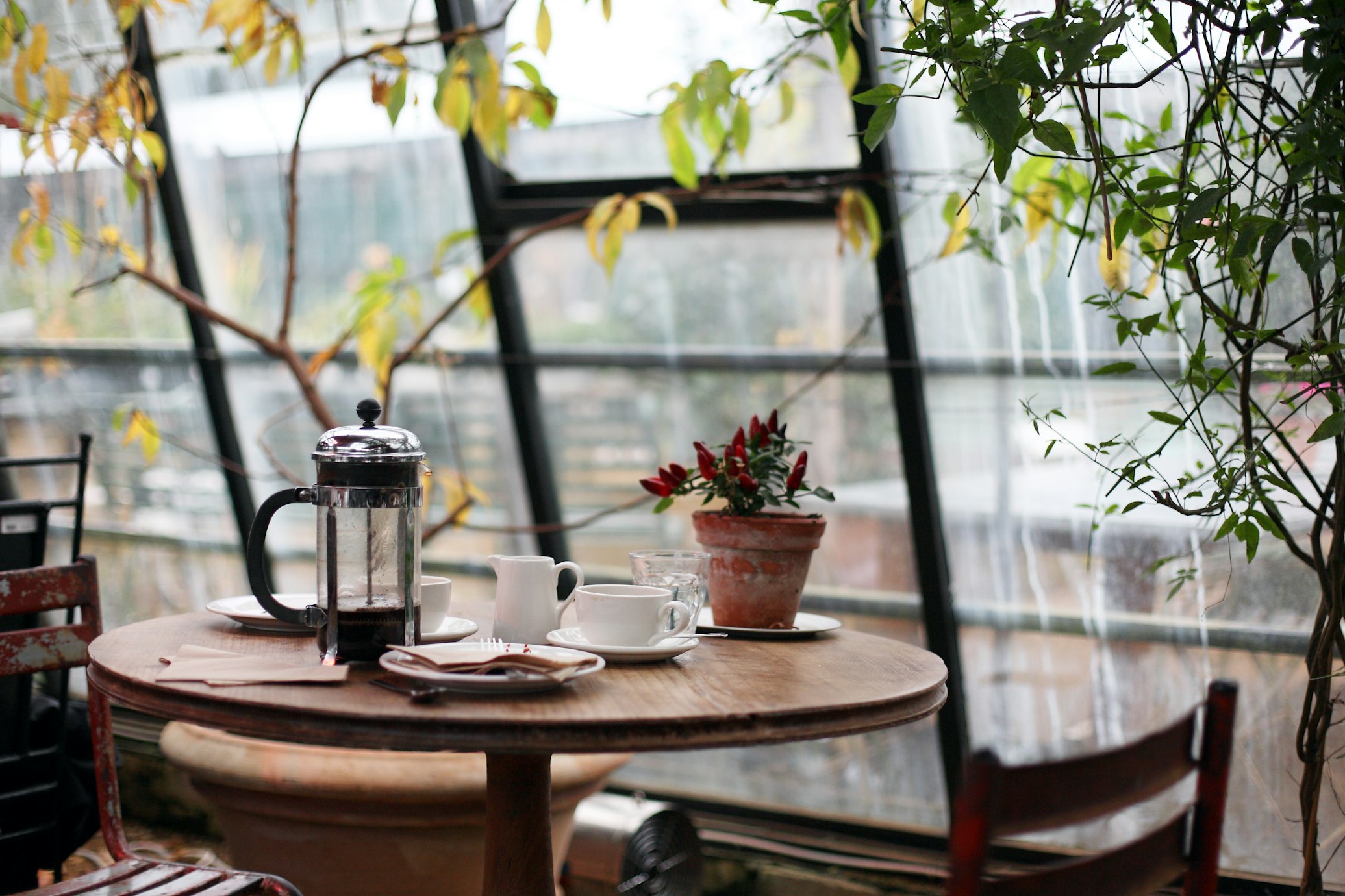 Persian Cafe Interior